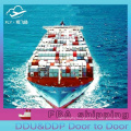 freight forwarding door to door international  sea shipping logistic company